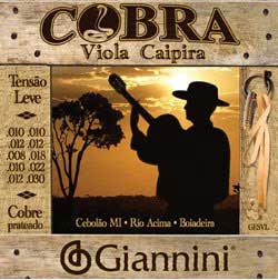 Qual corda de viola comprar?